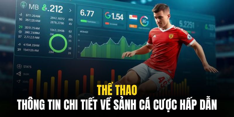 Sân chơi được cộng đồng game thủ đánh giá 5*