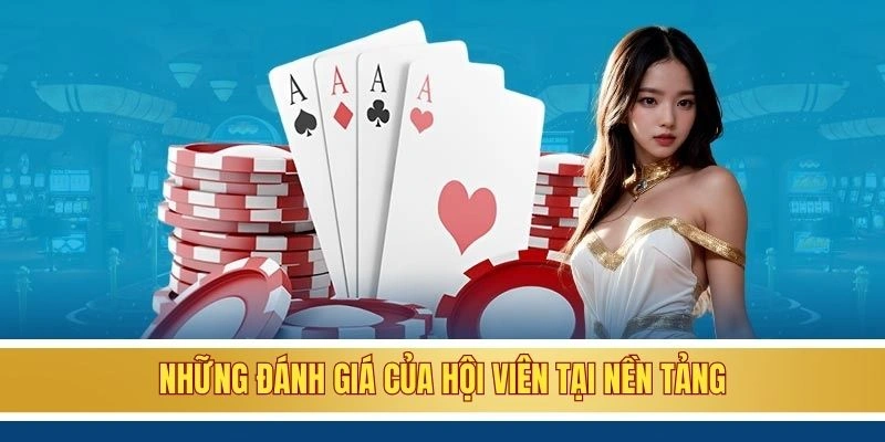 Những đánh giá của hội viên tại nền tảng